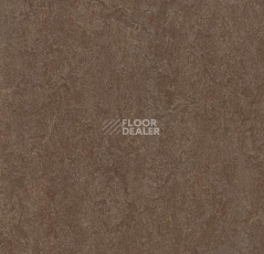 Линолеум Forbo Marmoleum Marbled Fresco 3874-387435 walnut фото 1 | FLOORDEALER